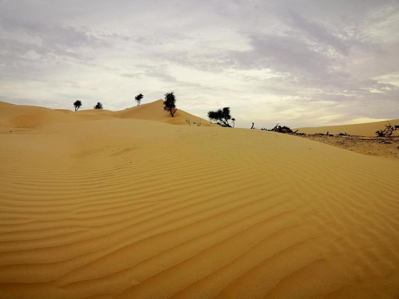 Queen Desert Camp Fulayj al Masha'ikh Eksteriør billede